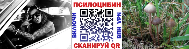 купить закладку Муравленко Галлюциногенные грибы GOLDEN TEACHER